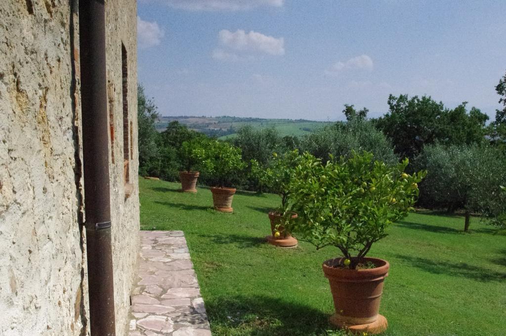 Agriturismo Cerreto Pienza Exterior photo