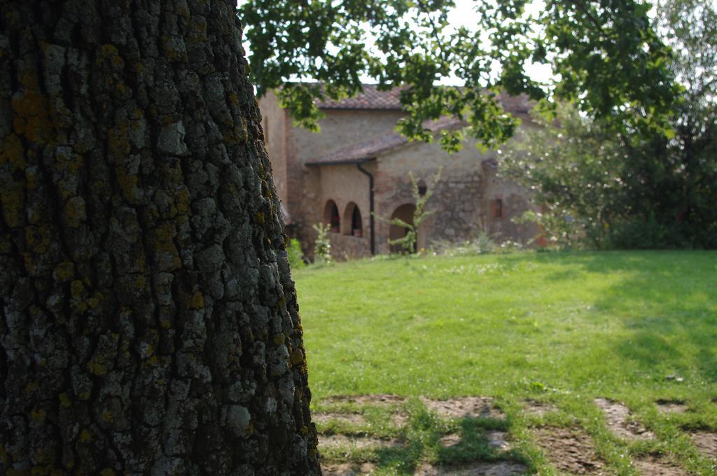 Agriturismo Cerreto Pienza Exterior photo